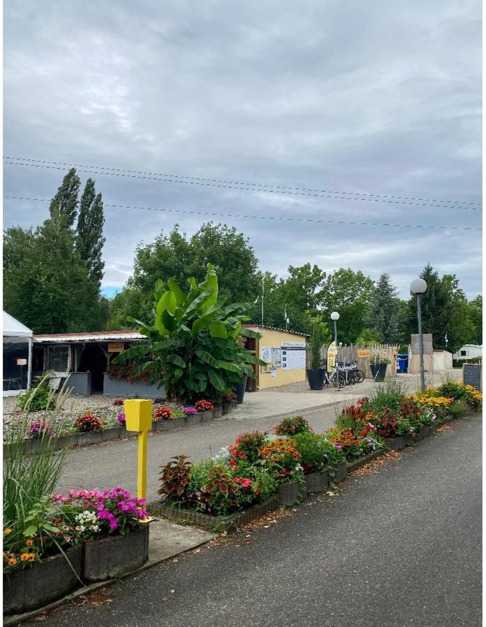 Boofzheim Mobile Home Proche De Europa Park מראה חיצוני תמונה